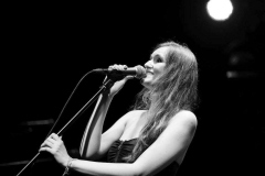 Koncert
